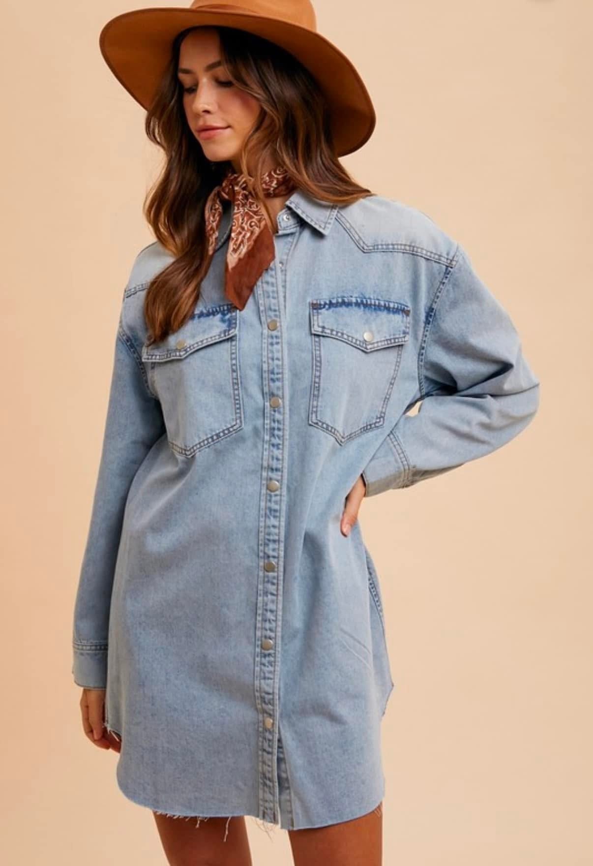 Denim Button Down Dress