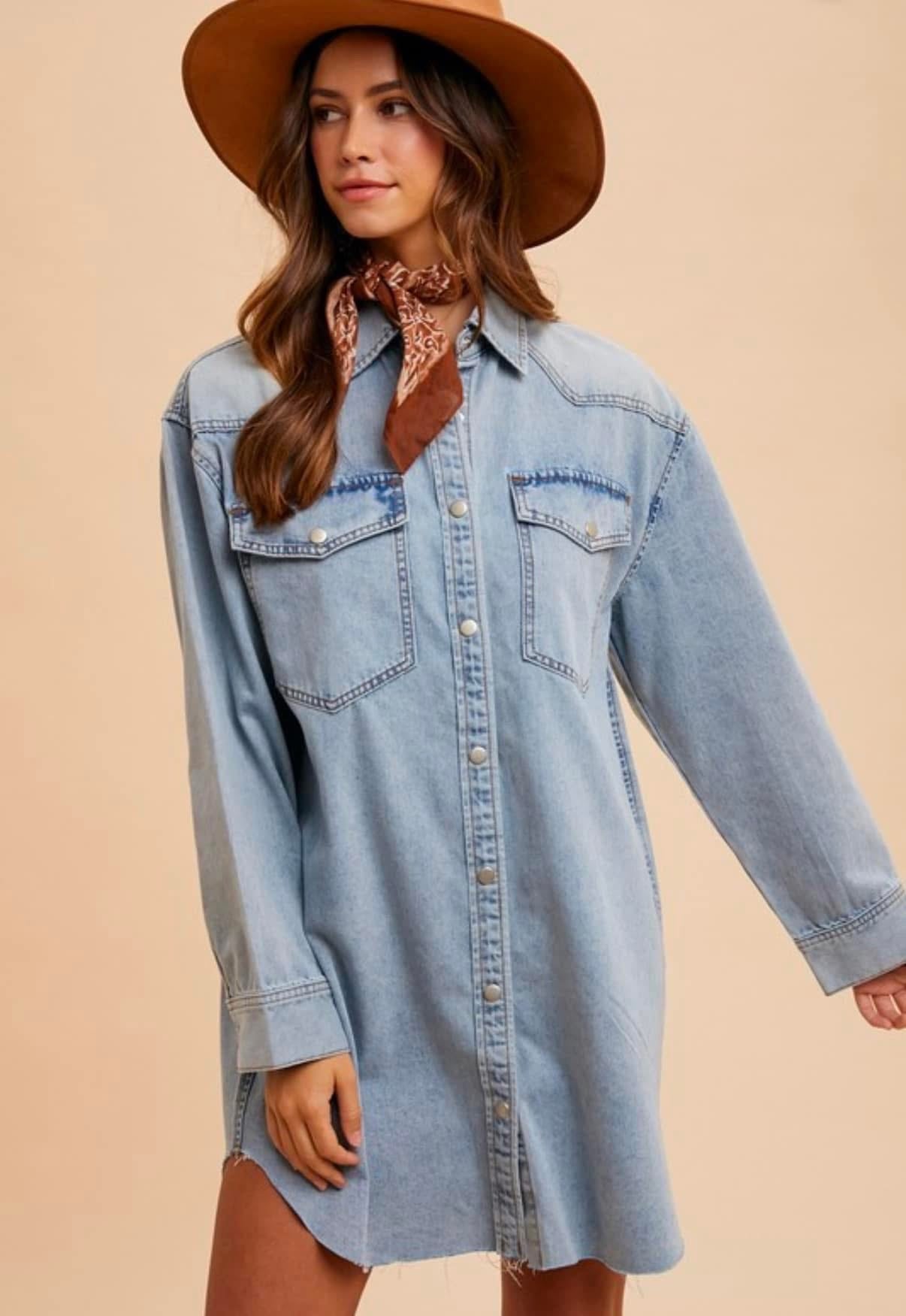 Denim Button Down Dress