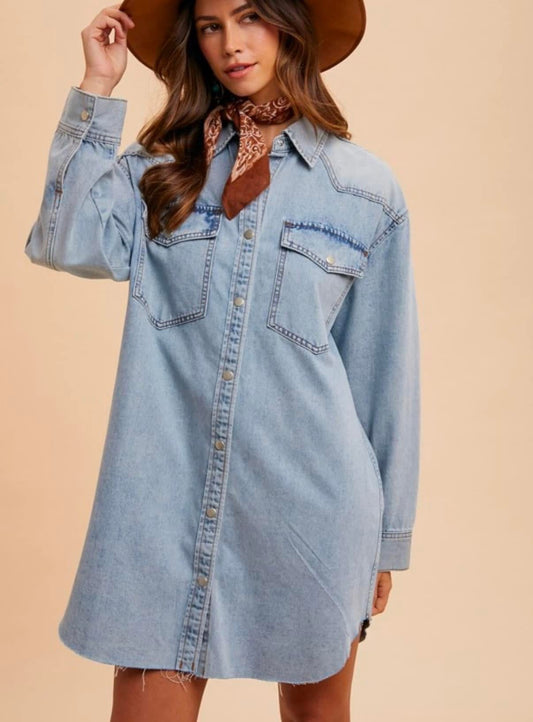 Denim Button Down Dress
